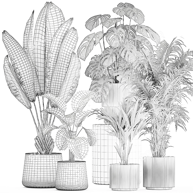 Tropical Plant Set in Concrete Vase and Pot 3D model image 7