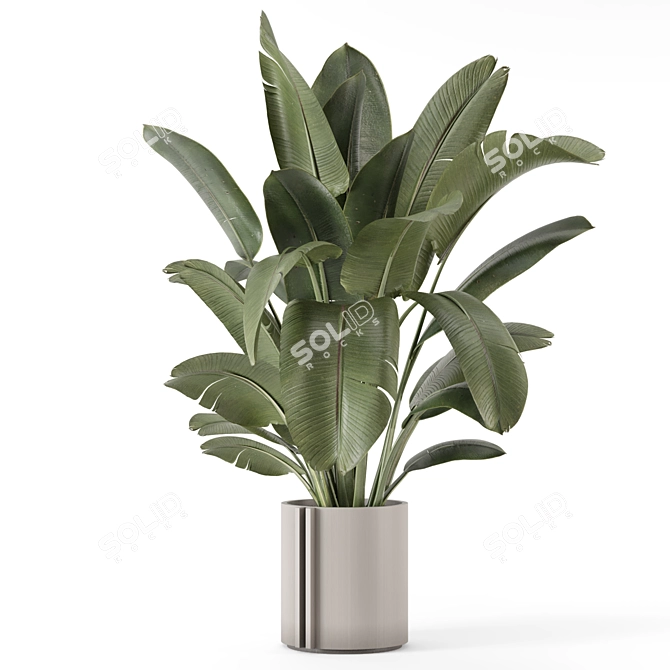 Rustic Concrete Pot Indoor Plants 3D model image 2