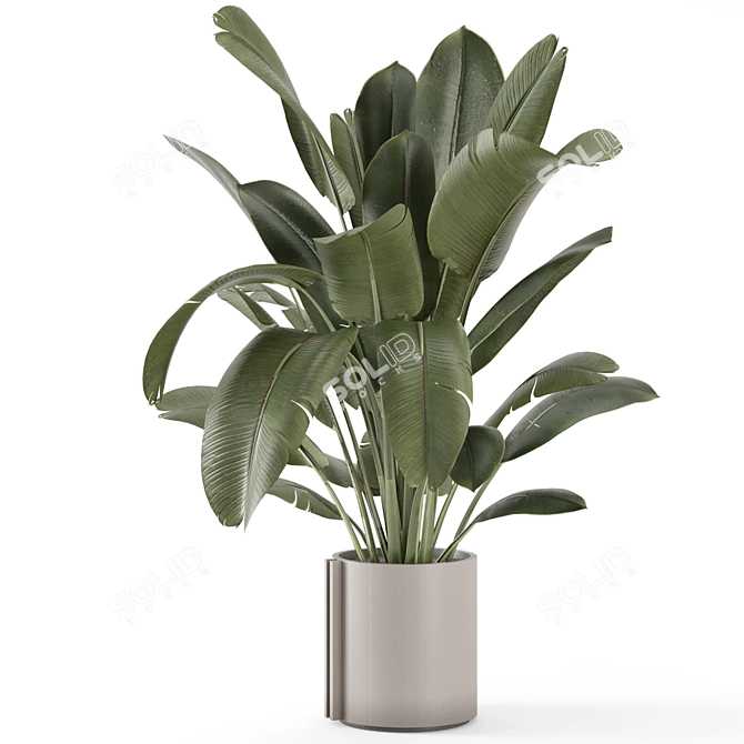 Rustic Concrete Pot Indoor Plants 3D model image 3