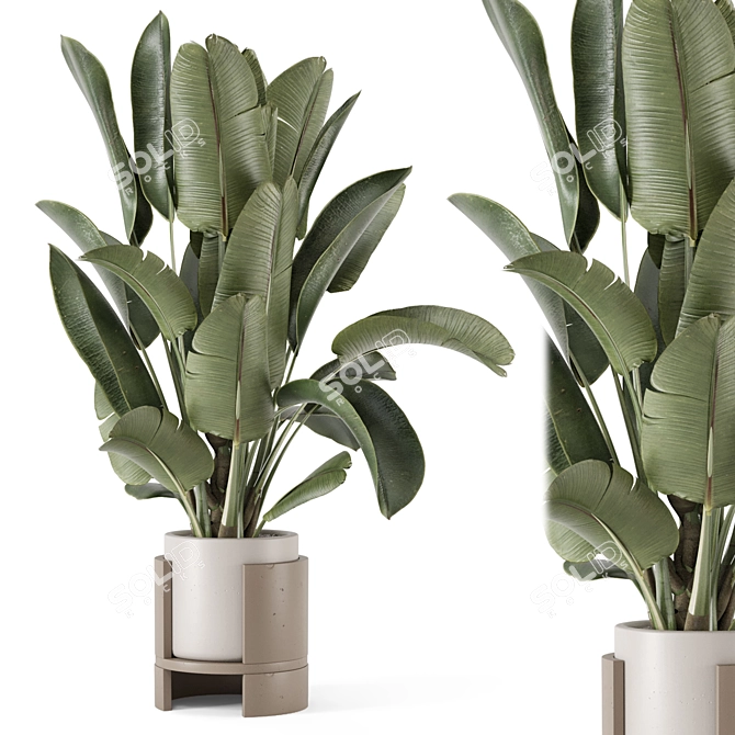 Rusty Concrete Pot Indoor Plants 3D model image 1