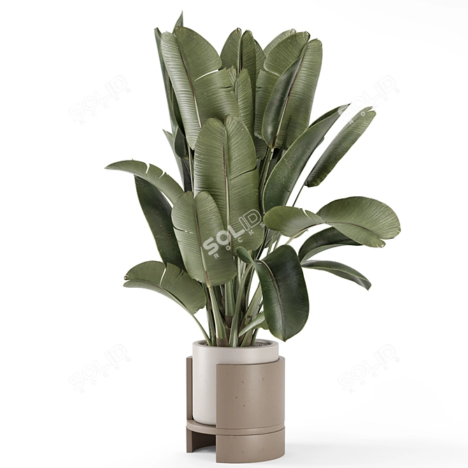 Rusty Concrete Pot Indoor Plants 3D model image 2