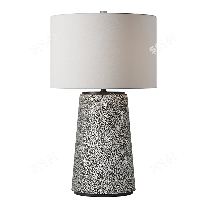 Aged Pewter Metal Resin Lamp 3D model image 1