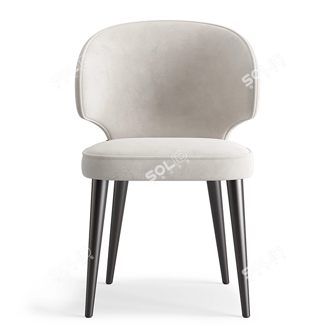 Vito Dining Chair with Birch Plywood Frame 3D model image 2