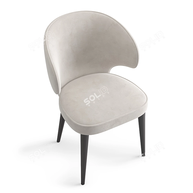 Vito Dining Chair with Birch Plywood Frame 3D model image 3