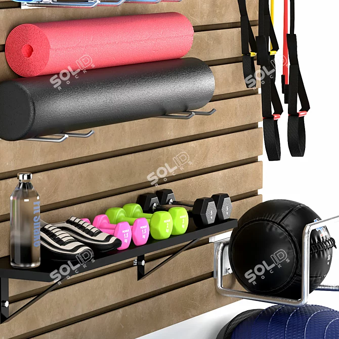 Premium Gym Storage and Organization 3D model image 5