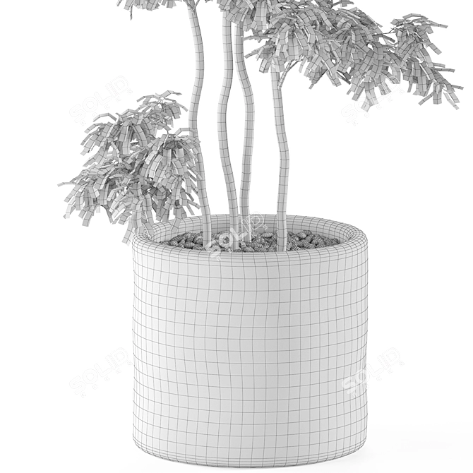 Botanical Marvels Poly Plant Collection 3D model image 4