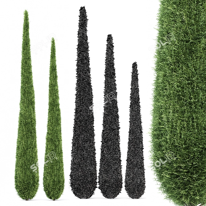 Variety of 3D Cypress Trees 3D model image 4