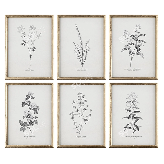 Model Archive Pictures Bundle 3D model image 2