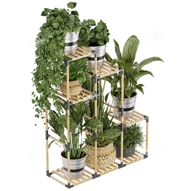 Premium Plant Collection Stand Decor 3D model image 3