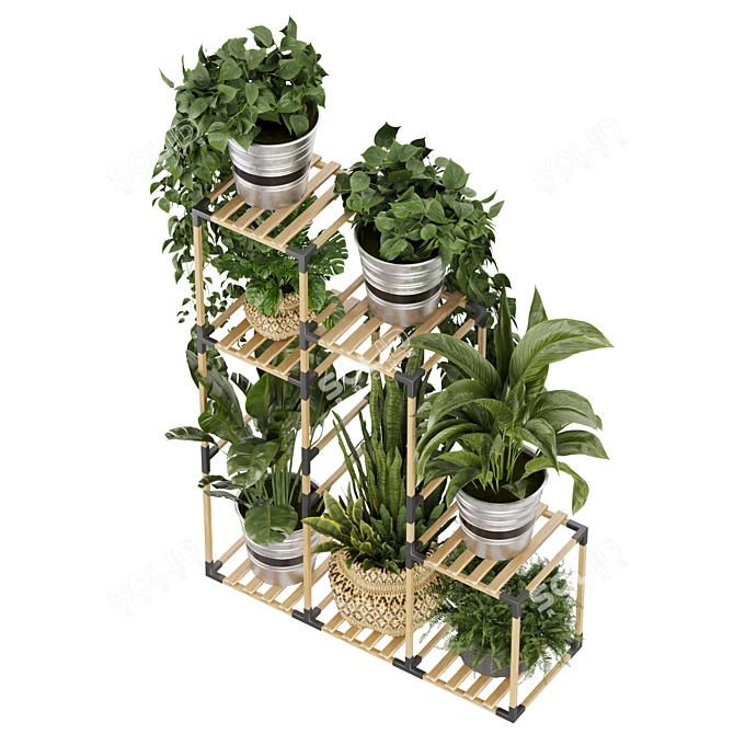 Premium Plant Collection Stand Decor 3D model image 4