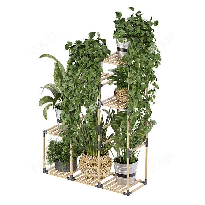 Premium Plant Collection Stand Decor 3D model image 5