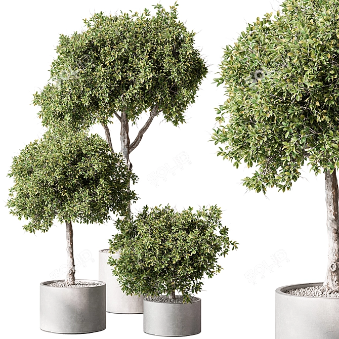 Tree in Pot: Indoor Beauty 3D model image 1