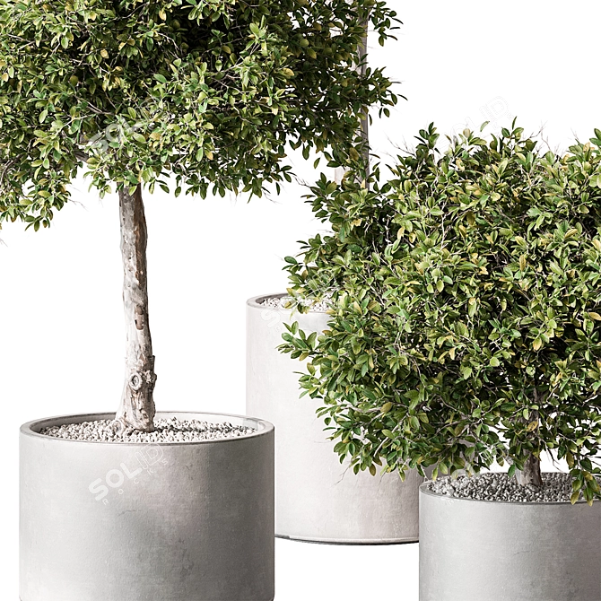 Tree in Pot: Indoor Beauty 3D model image 2