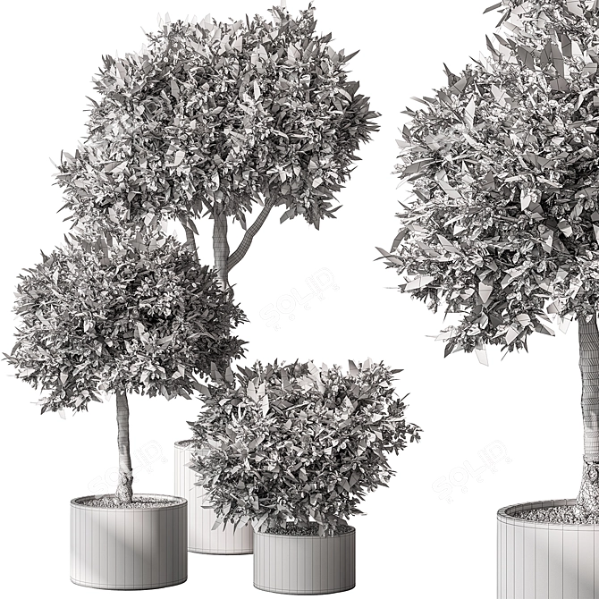 Tree in Pot: Indoor Beauty 3D model image 5