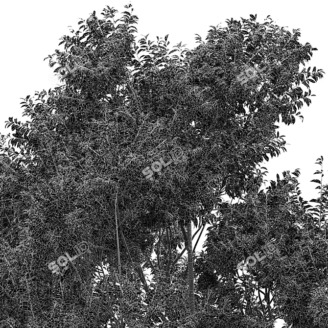  Dual 3D Tree Models 3D model image 7