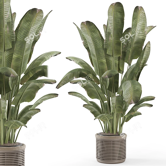 Natural Woven Basket Plant Set 3D model image 2