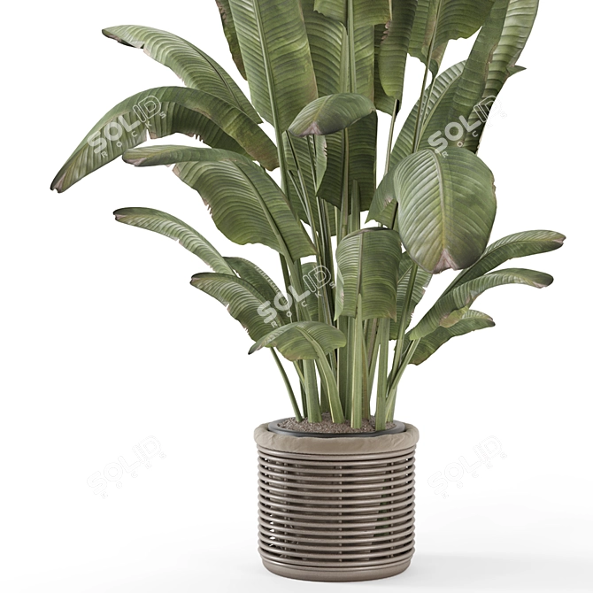 Natural Woven Basket Plant Set 3D model image 4