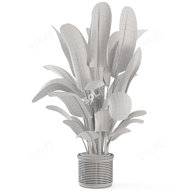 Natural Woven Basket Plant Set 3D model image 1