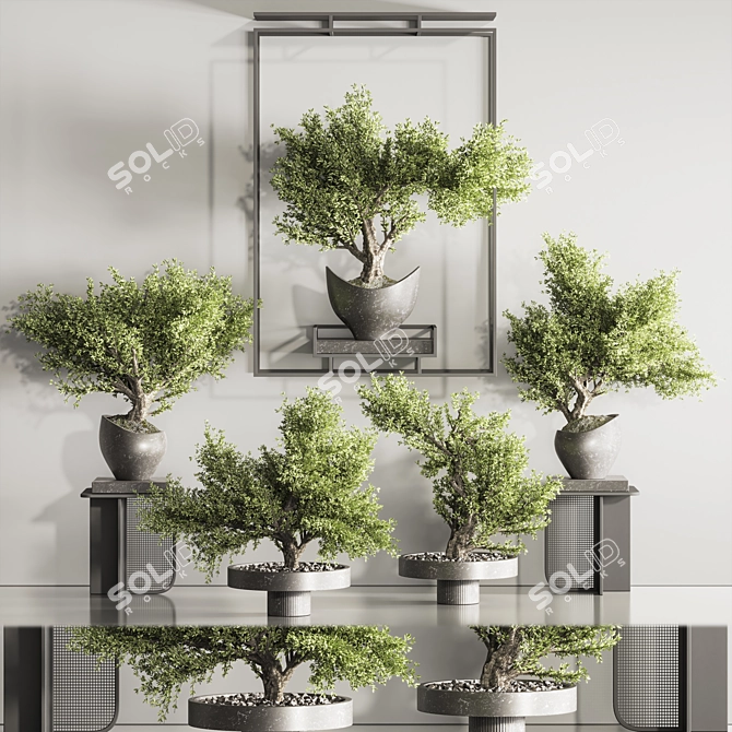 Indoor Plant Bonsai Set 114 3D model image 1