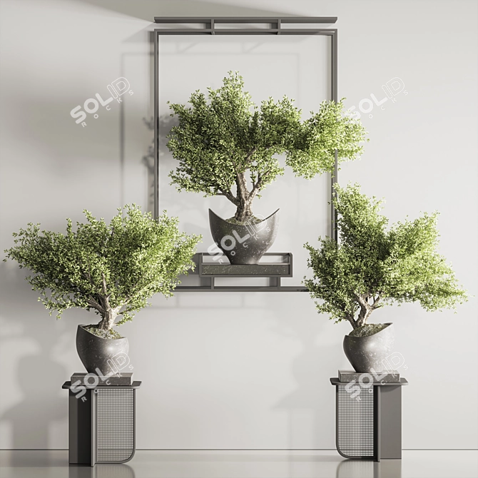 Indoor Plant Bonsai Set 114 3D model image 2