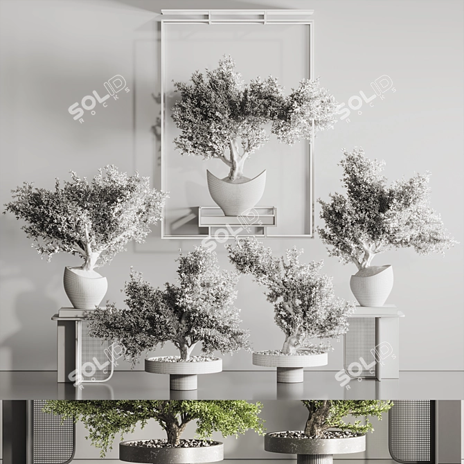 Indoor Plant Bonsai Set 114 3D model image 7