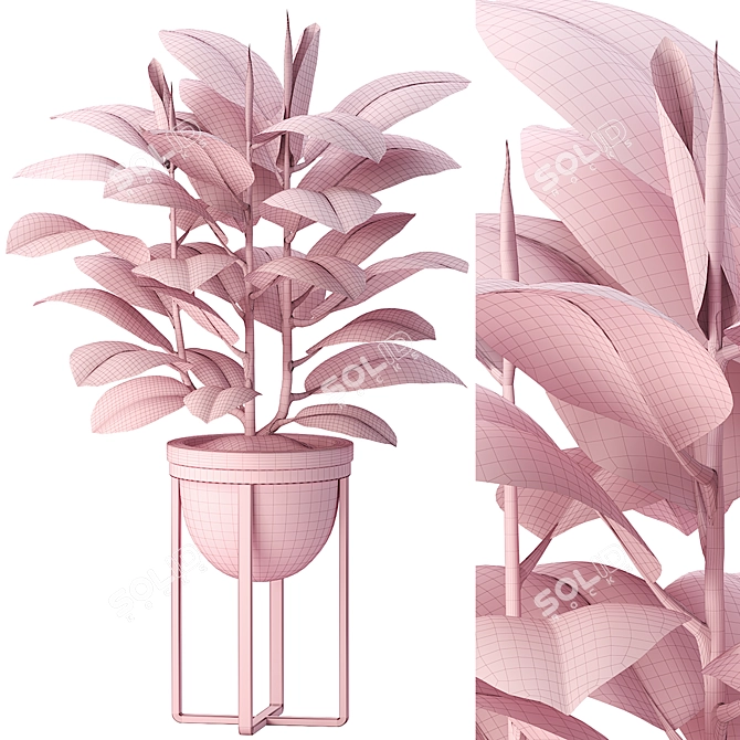 Modern Indoor Ficus Elastica Set 3D model image 7