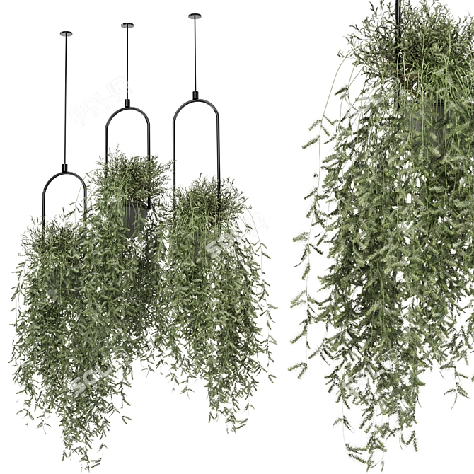 Metal Box Hanging Plant Set 3D model image 1