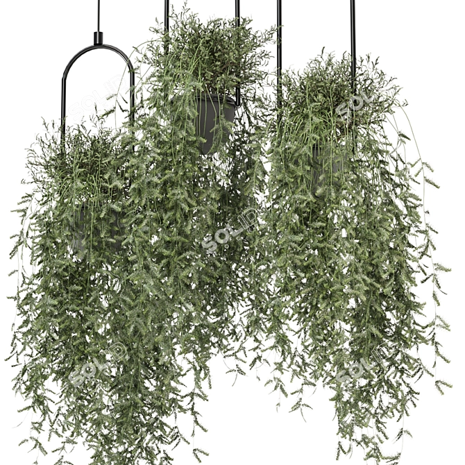 Metal Box Hanging Plant Set 3D model image 2