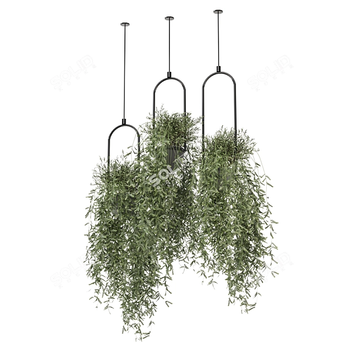 Metal Box Hanging Plant Set 3D model image 3