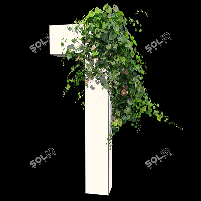 Versatile Set of Five Vines 3D model image 3