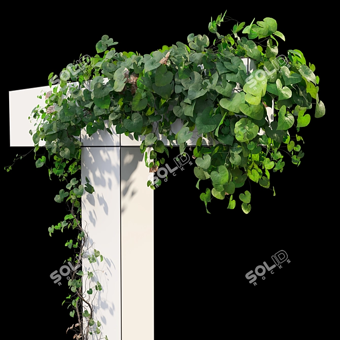 Versatile Set of Five Vines 3D model image 5