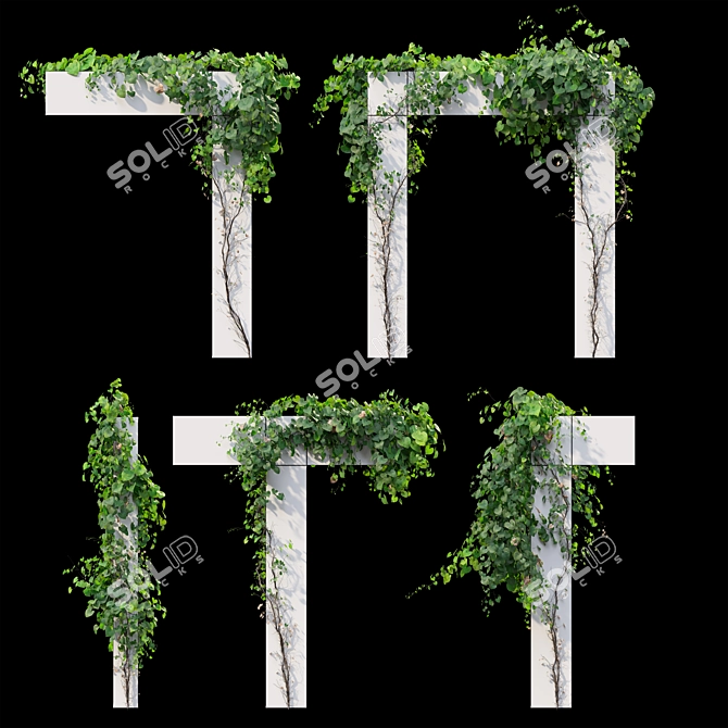 Versatile Set of Five Vines 3D model image 7