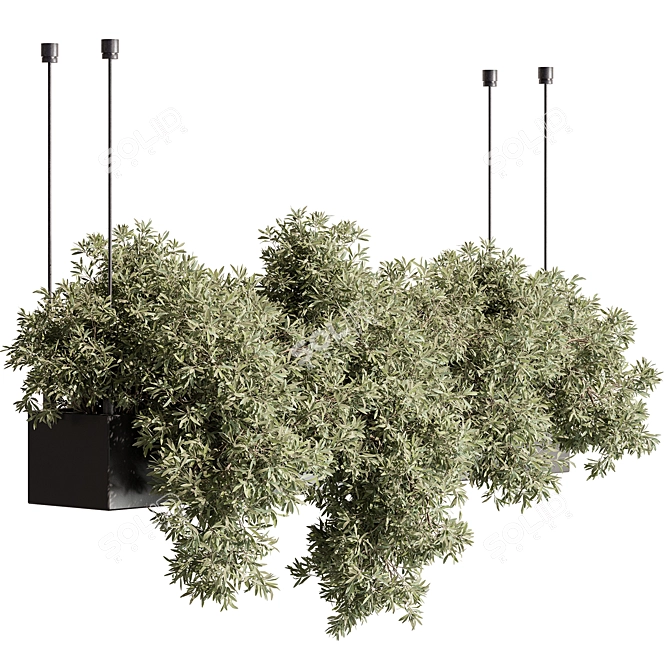 Title: Hanging Indoor Plant 555 3D model image 2