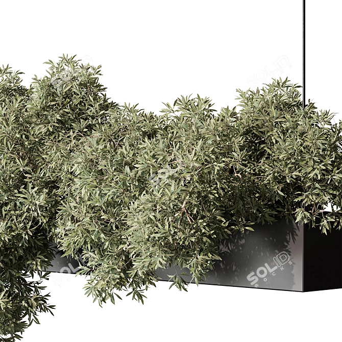 Title: Hanging Indoor Plant 555 3D model image 4