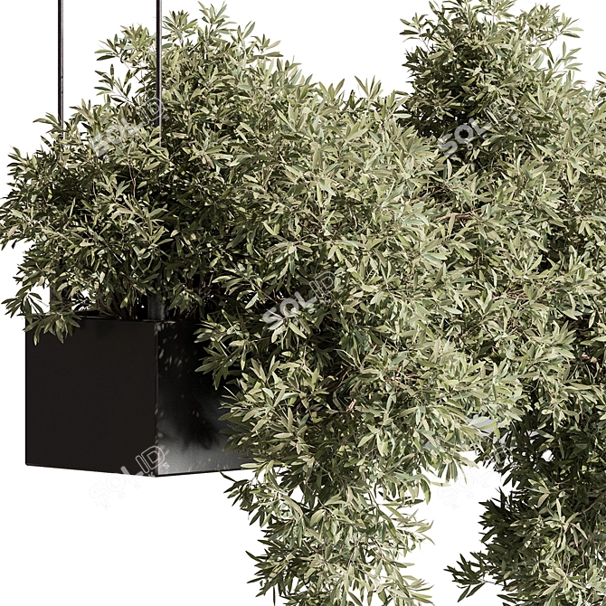 Title: Hanging Indoor Plant 555 3D model image 5