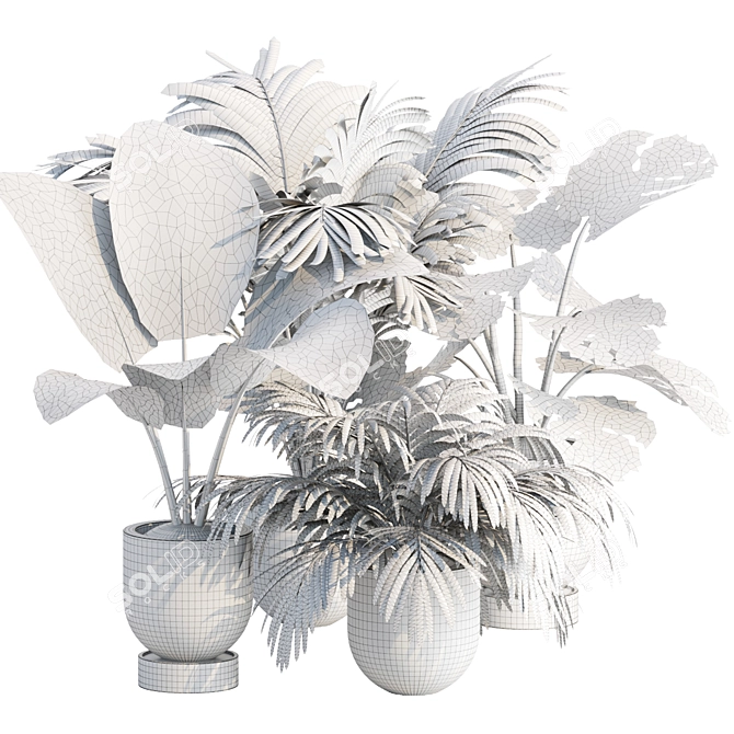 Indoor Plants Collection Vol. 221 3D model image 5