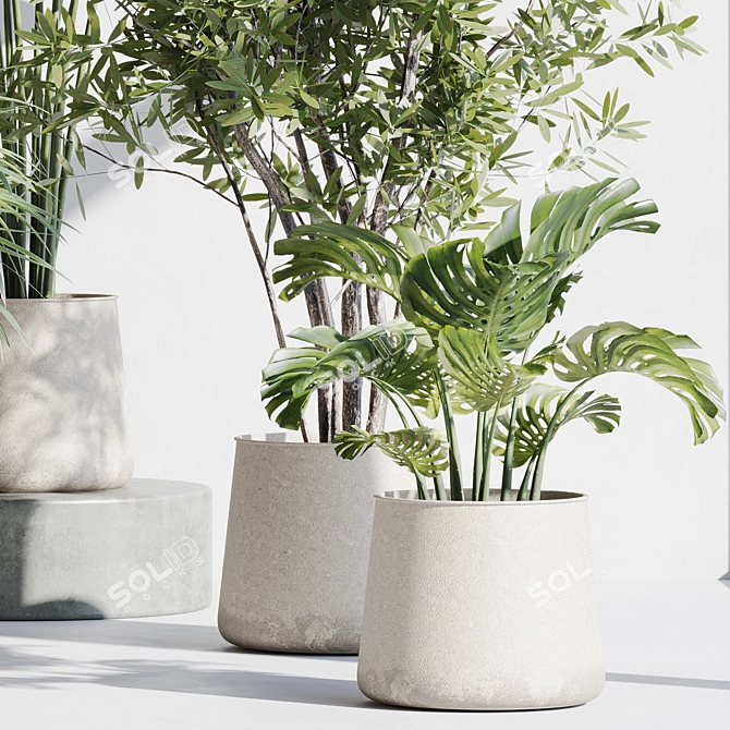 66 Indoor Plant Set 3D 3D model image 6