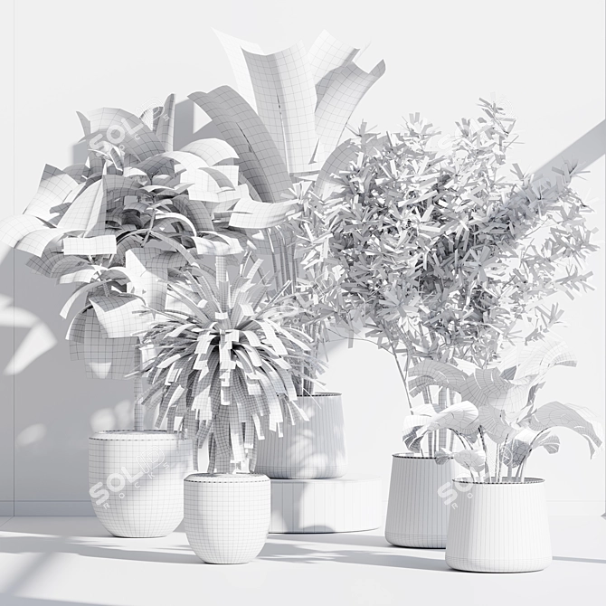 66 Indoor Plant Set 3D 3D model image 7