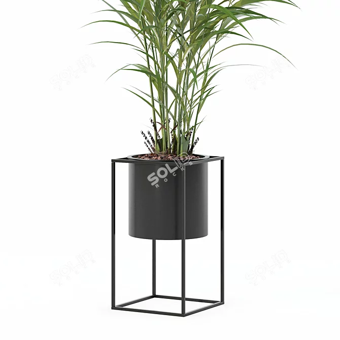 Tropical Areca Palm 3D Model 3D model image 6