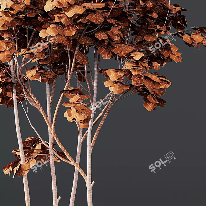 HQ Ash Maple Tree Models 3D model image 4