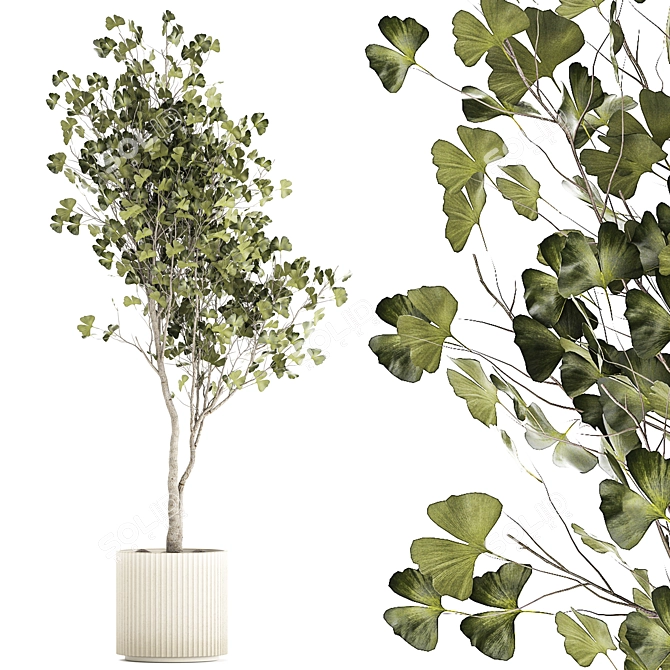 Ginkgo Biloba Decor Tree in Concrete Pot 3D model image 1