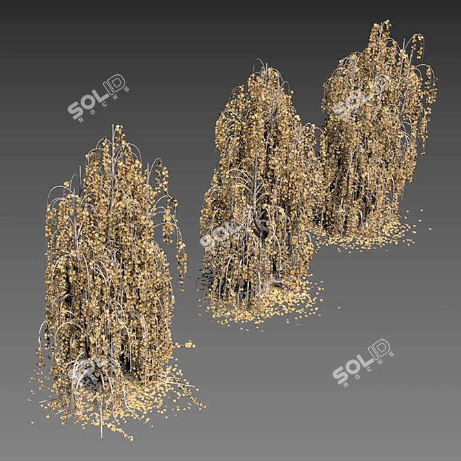 Polygonal Textured Tree Model 3D model image 5