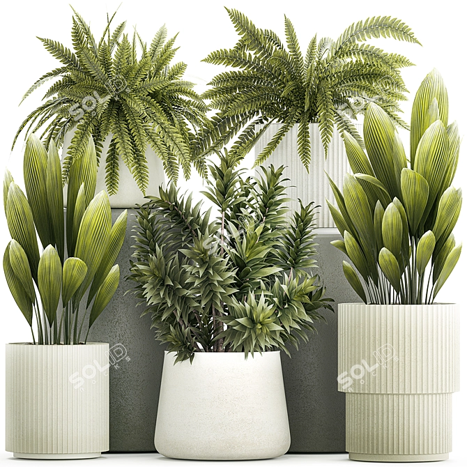 Tropical Plant Set in White Pots 3D model image 1