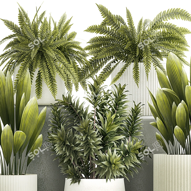 Tropical Plant Set in White Pots 3D model image 2