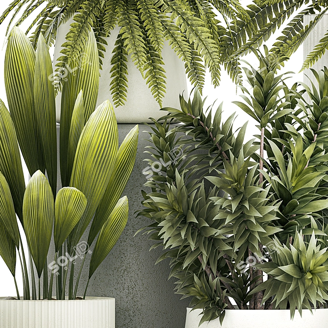 Tropical Plant Set in White Pots 3D model image 4