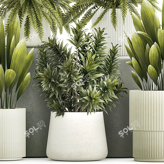 Tropical Plant Set in White Pots 3D model image 5