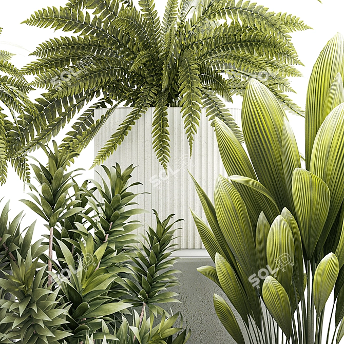 Tropical Plant Set in White Pots 3D model image 6