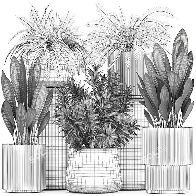 Tropical Plant Set in White Pots 3D model image 7