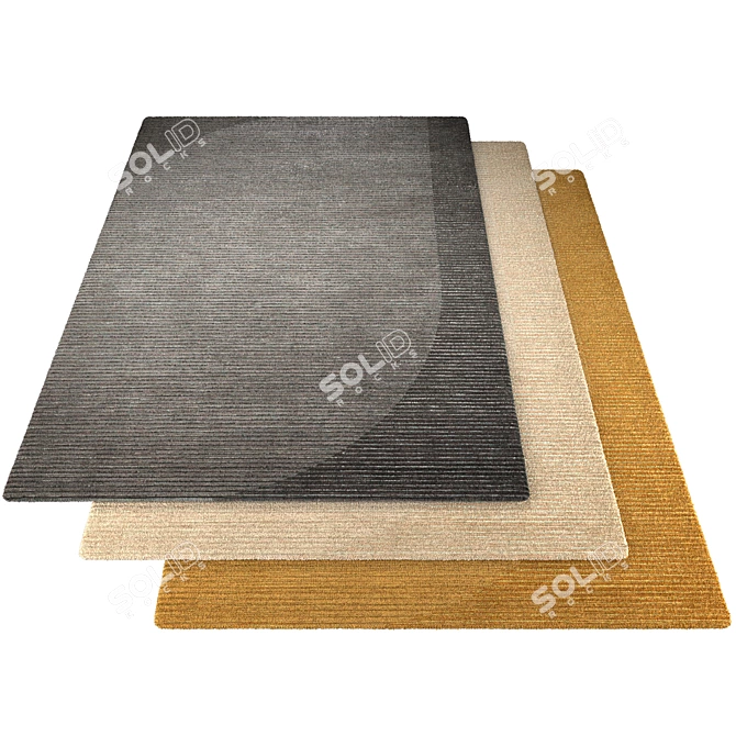 Textured Relief Poliform Rug 3D model image 2