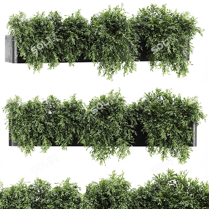 Vibrant Plants Set 3D Models 3D model image 1